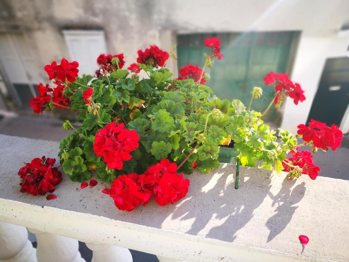 Apartment Dada Šibenik Eksteriør bilde